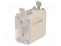 Fuse: fuse; 100A; 690VAC; 440VDC; aR; industrial; NH00; SENTRON SIEMENS 3NE8021-1