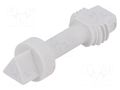 Screw FIBOX DS10581