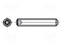 Screw; M6x22; 1; Head: without head; hex key; HEX 3mm; steel BOSSARD B6X22/BN24