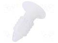 Rivet; polyamide; Panel cutout diam: 6.35mm; natural; UL94V-2 ESSENTRA RI-PL-250-12-01