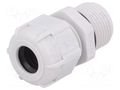 Cable gland; with long thread; M20; 1.5; IP68; polyamide; grey BM GROUP BM4920L