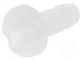 Screw; M2.5x8; Head: cheese head; slotted; plastic; natural ESSENTRA RI-NSE-1580-M2.5-8