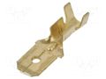 Terminal: flat; 6.3mm; 0.8mm; male; 1÷2.5mm2; crimped; for cable IMP 679.00.3