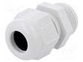 Cable gland; M20; IP68; plastic; grey ILME ASM20I