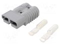 Connector: wire-wire; plug; hermaphrodite; SB® 175; 600V; PIN: 2 ANDERSON POWER PRODUCTS 6325G6