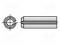 Springy stud; hardened steel; BN 876; Ø: 2.5mm; L: 20mm; DIN 1481 BOSSARD B2.5X20/BN876