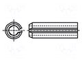 Springy stud; hardened steel; BN 876; Ø: 1.5mm; L: 8mm; DIN 1481 BOSSARD B1.5X8/BN876