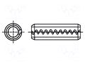 Springy stud; spring steel; BN 879; Ø: 8mm; L: 32mm BOSSARD B8X32/BN879