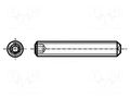 Screw; M4x5; 0.7; Head: without head; hex key; HEX 2mm; DIN 916 BOSSARD B4X5/BN621
