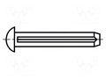 Rivet pin; BN 688; L.rivet: 4mm; Rivet diam: 2mm BOSSARD B2X4/BN688