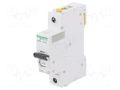 Circuit breaker; 230VAC; Inom: 16A; Poles: 1; Charact: D; 6kA; IP20 SCHNEIDER ELECTRIC A9F05116