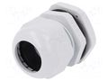 Cable gland; PG29; IP68; polyamide; grey PAWBOL PW-D.3076