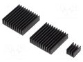 Heatsink: extruded; grilled; Raspberry Pi; black; aluminium TEKO RPI-COOLKIT.9