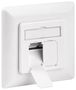 CAT 6A Wall Plate Flush Mounting, white - 2x RJ45 connections, shielded, termination strip for tool-free IDC mounting 68721