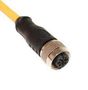 M12 CORDSET, 5-POSITION FEMALE STRAIGHT-OPEN END, 22 AWG, .5M 68AK2120 C5C11M00.5