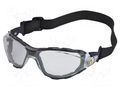 Safety goggles; Lens: transparent; Classes: 1; PACAYA DELTA PLUS DEL-PACAYLVSTIN