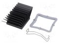 Heatsink: extruded; grilled; BGA; black; L: 32.5mm; W: 32.5mm Advanced Thermal Solutions ATS-51325R-C1-R0