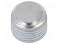 Hexagon head screw plug; with micro encapsulation; Thread: R 1" ELESA+GANTER DIN906-NI-R1-GPC