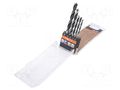 Drill set; for wood; steel; blister; PROFI HOLZ; wood,chipboard ALPEN-MAYKESTAG ALP.600112100