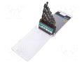 Drill set; for metal; high speed steel; blister; SPRINT MASTER ALPEN-MAYKESTAG ALP.811102100