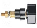 Laboratory clamp; black; 1kVDC; 100A; brass; polycarbonate; 81mm SCHÜTZINGER POL102L-SW