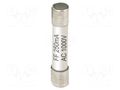 Fuse; 250mA; 1kV; 6.3x32mm; 10pcs. PEAKTECH PKT-P7600