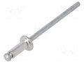 Rivet; aluminium; Rivet diam: 3.2mm; L.rivet: 8mm; 500pcs. BETA 1741RV-3.2K