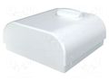 Enclosure: wall mounting; X: 80mm; Y: 80mm; Z: 33.3mm; ABS; white ITALTRONIC IT-61.6031003