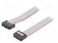 Ribbon cable with IDC connectors; Tape ph: 1.27mm; 0.3m CONNFLY DS1052-122B2MA2030