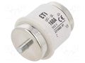 Fuse: fuse; 160A; 500VAC; 500VDC; gG; ceramic; DV; D ETI POLAM 002315402