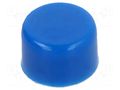 Button; none; APE; Body: blue KNITTER-SWITCH KA3104