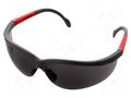 Safety spectacles; Lens: grey; Features: regulated LAHTI PRO LAHTI-46035