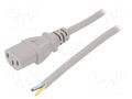 Cable; 3x0.75mm2; IEC C13 female,wires; PVC; 1m; grey; 10A; 250V LIAN DUNG SN31-3/07/1GY
