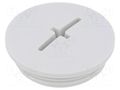 Stopper; M32; 1.5; IP56; polyamide; light grey; Thread: metric; 8mm BM GROUP BM4632