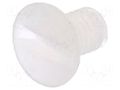 Screw; M3x5; 0.5; Head: oval,countersunk; slotted; 1mm; polyamide DREMEC DR8G203M3X5