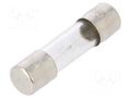 Fuse: fuse; 1A; 250VAC; time-lag; glass; 5x20mm; brass; bulk OPTIFUSE TSD-1A