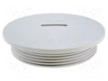 Stopper; PG36; IP54; polyamide; grey; V-N-FS; Thread: PG; 10mm HUMMEL HUMMEL-1251360011