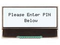 Display: LCD; alphanumeric; COG,FSTN Positive; 16x2; white; LED NEWHAVEN DISPLAY INTERNATIONAL NHD-C0216CZ-FWF3