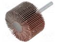 Grinding pin; Granularity: 60; Mounting: rod 6mm; flap,with lever PG PROFESSIONAL PG-RG.021