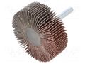 Grinding pin; Granularity: 60; Mounting: rod 6mm; flap,with lever PG PROFESSIONAL PG-RG.024