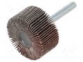 Grinding pin; Granularity: 80; Mounting: rod 6mm; flap,with lever PG PROFESSIONAL PG-RG.048