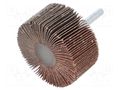 Grinding pin; Granularity: 80; Mounting: rod 6mm; flap,with lever PG PROFESSIONAL PG-RG.061
