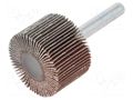 Grinding pin; Granularity: 120; Mounting: rod 6mm; Ø30x20mm PG PROFESSIONAL PG-RG.076