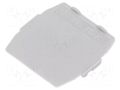 Separating plate; grey PHOENIX CONTACT TS-K