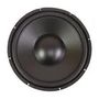 12" Poly Cone Woofer with Rubber Surround 55-5725