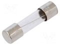 Fuse: fuse; 6.3A; 250VAC; time-lag; cylindrical,glass; 5x20mm; S506 EATON/BUSSMANN BK1-S506-6-3-R