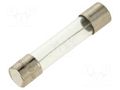 Fuse: fuse; 200mA; 250VAC; time-lag; glass; 6.3x32mm; TSA; brass OPTIFUSE TSA-200MA