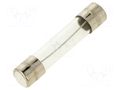 Fuse: fuse; 300mA; 250VAC; time-lag; glass; 6.3x32mm; TSA; brass OPTIFUSE TSA-300MA
