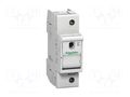 Fuse disconnector; D01; for DIN rail mounting; 63A; Poles: 1 SCHNEIDER ELECTRIC MGN02163