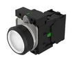 ILLUM INDUSTRIAL PB SW, SPST, 10A, WHITE 45-1231.11N6.000.101